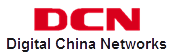 Digital China Networks